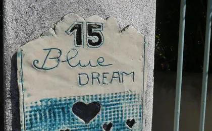 Chambres D'hotes Blue Dream (Adults only)