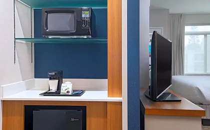 SpringHill Suites by Marriott Anaheim Maingate