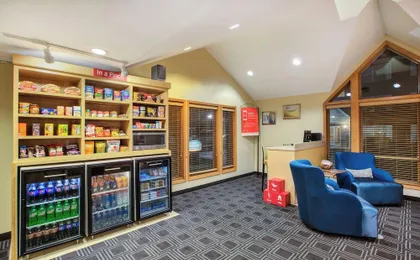Towneplace Suites Detroit Livonia