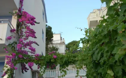 Apartments Alajbeg