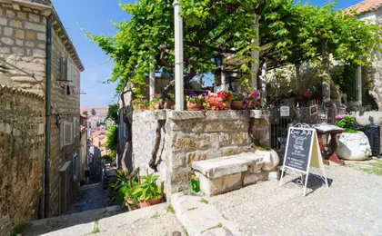 Apartment Domix