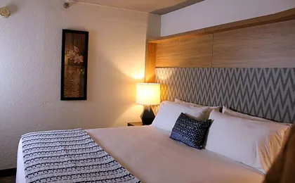Wyndham Flint MI/Grand Blanc/Bishop Airport/Conference Ct
