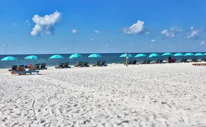 Ocean Reef 304