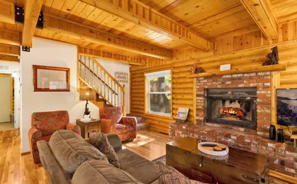 Cub's Cabin #2561