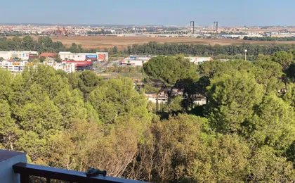 El Balcon de Sevilla