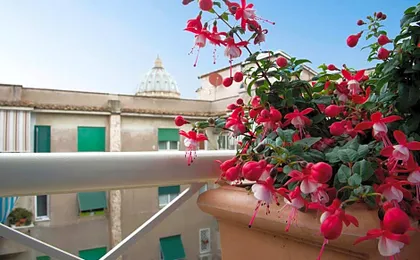 Di Fronte alla Cupola