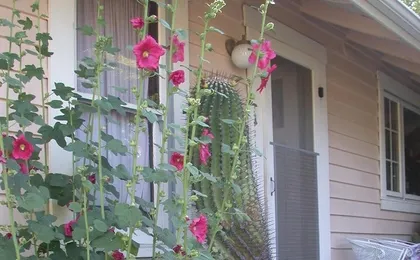 Hollyhock Country House (Adults only)