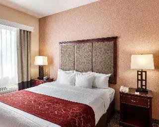 Comfort Suites Plano East - Richardson