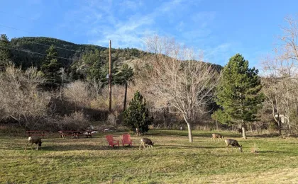 Foot of the Mountain Motel