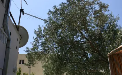 Apartments with Parking Space Makarska - 6636
