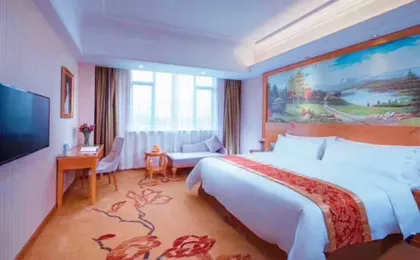 Vienna Hotel (Shenzhen Dayun Center Ainan Road)