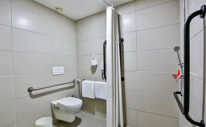 ibis Sao Paulo Morumbi