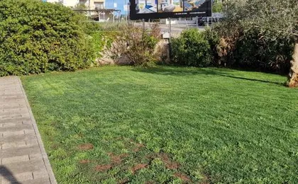 Premium Apartment Maj ****