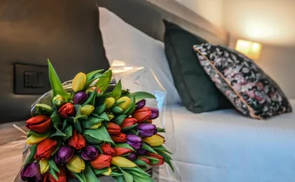 Hotel Zara Milano