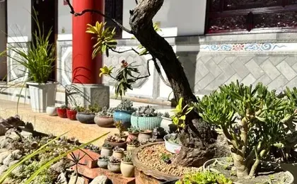 Dali Tower Beiyuan Inn