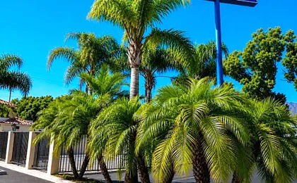 Burbank Inn and Suites