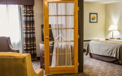 Comfort Inn Birch Run