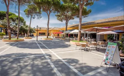 Luxury Beach Side Apartment in Marbella Playa