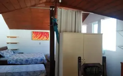 Tartaruga Azul