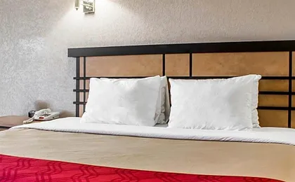 Econo Lodge Inn & Suites Colonie Center Mall