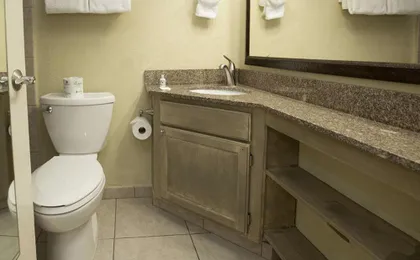 Palmera Inn and Suites