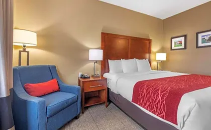 Comfort Inn Dfw Airport North