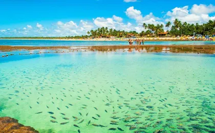 Green Porto Beach – Conforto No Coracao de Porto de Galinhas