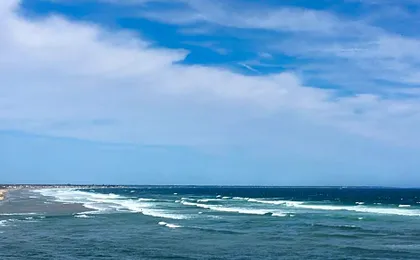 Anchorage by the Sea