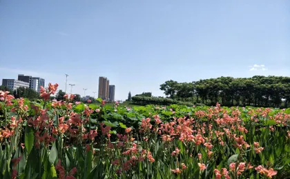 Xinshenghao Hotel