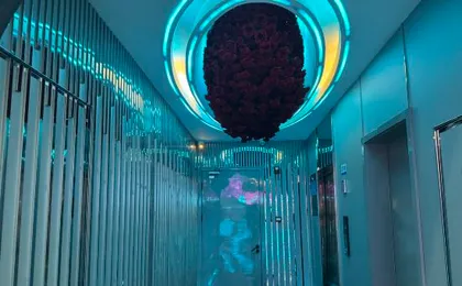 Beijing W+ Luxury Select Hotel (Beijing Universal Resort Liyuan Subway Station Branch)