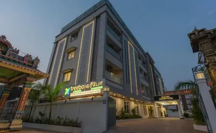 Treebo Premium Pine Tree Courtyard