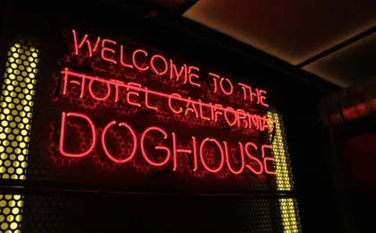 Doghouse Hotel And Brewery