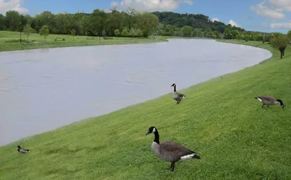 Econo Lodge Sevierville-Pigeon Forge on the River