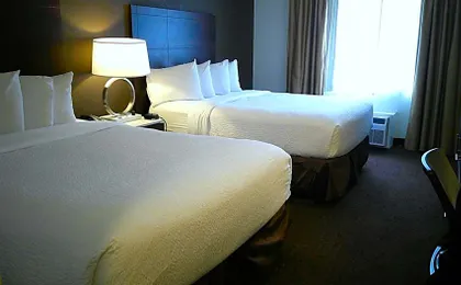 Wyndham Garden Romulus Detroit Metro Airport