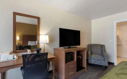 Quality Inn Saint Petersburg North Tampa Bay