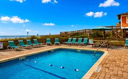 Ocean Forest Colony