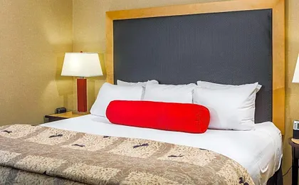Cambria Hotel Raleigh-Durham Airport
