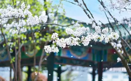Taixuhu Holiday Hotel