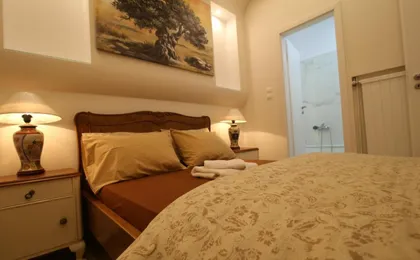 Luxurious Athenian Apartment