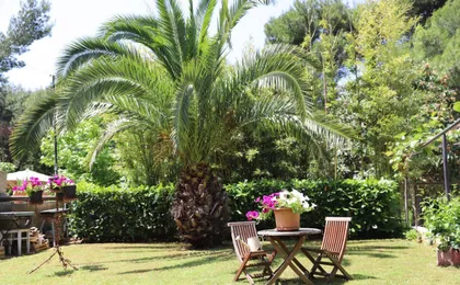 Apartment with a Garden