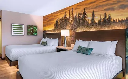 Cambria Hotel Shelby Township - Detroit Utica