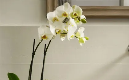 San Pietro Boutique Rooms