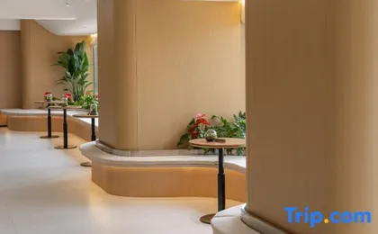 Cosy City Hotel (Chengdu South Railway Station Sichuan University Wangjiang Campus）