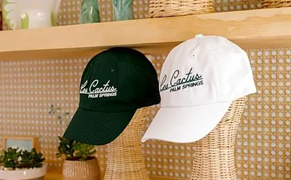 Les Cactus