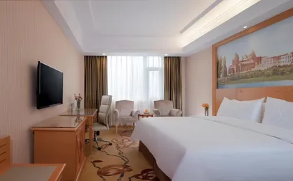 Vienna Hotel Shenzhen Bao'an Airport Taoyuanju Pingluanshan Metro Station