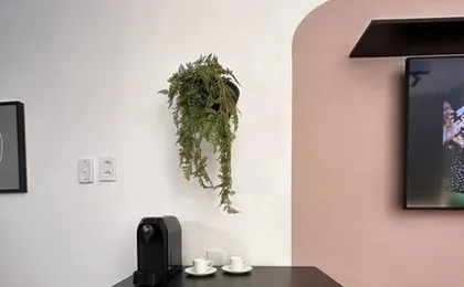 Studio Copanema