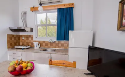 Theodora Apartments