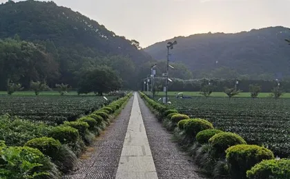 Hangzhou Xihu Scenic Area Hong'er Farm stay