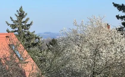 Ferienwohnung Dresden