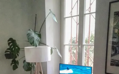 Appartement Petite France Avec Terrasse